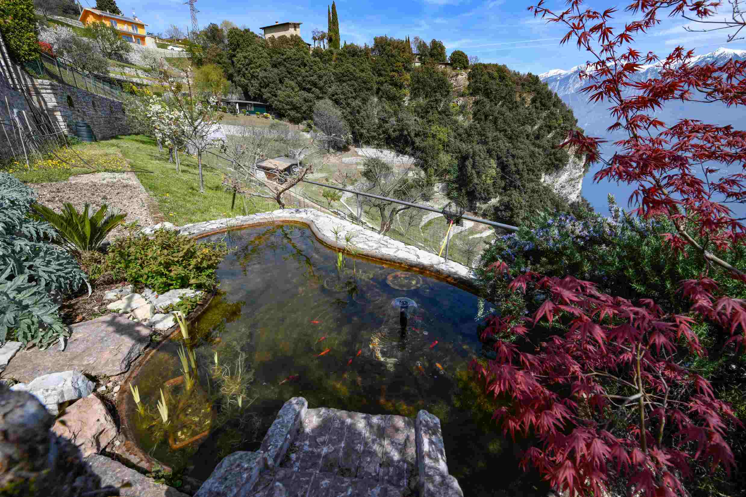 Azienda Agricola Silvia - Agriturismo Il Fondaco Piovere